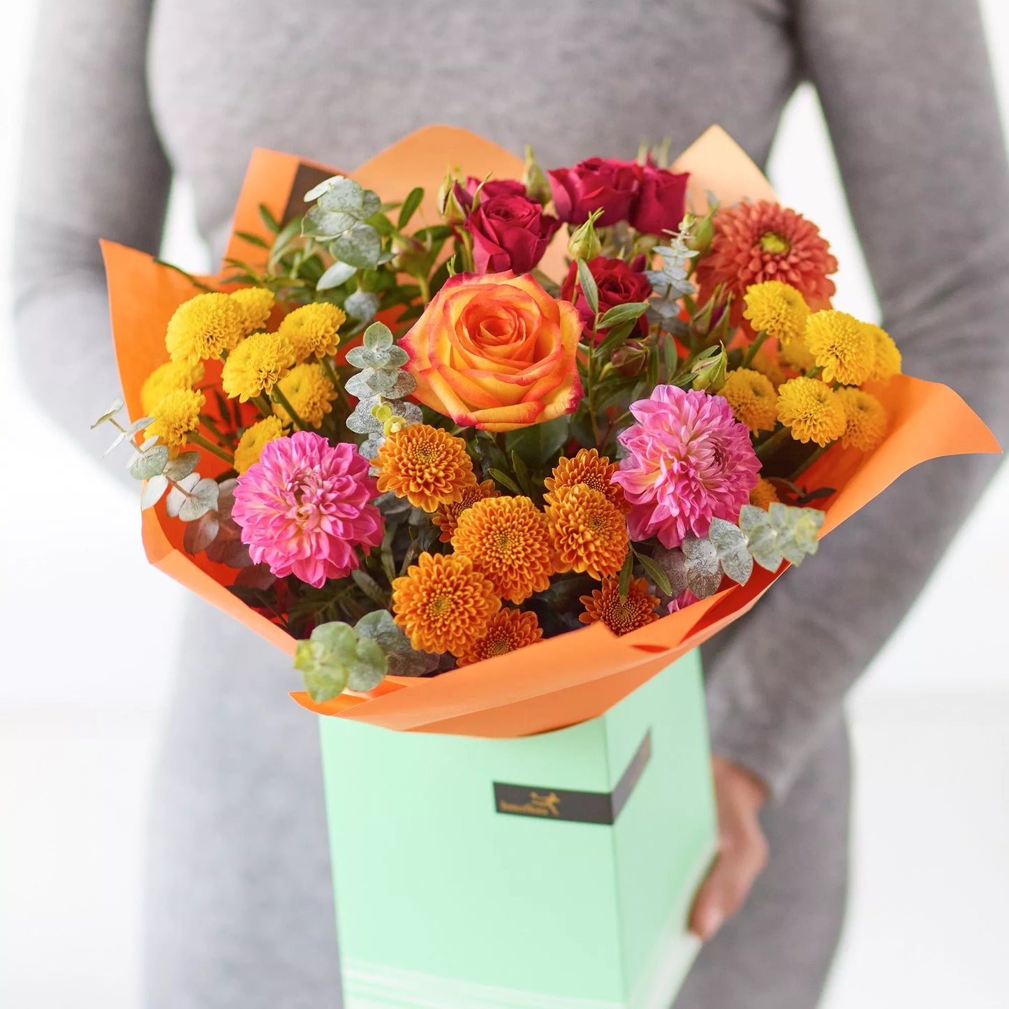 The Dahlia Delight