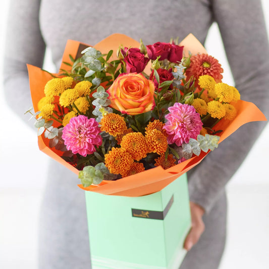 The Dahlia Delight