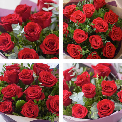 Valentine's Dozen Large-headed Red Roses Cute Gift Set
