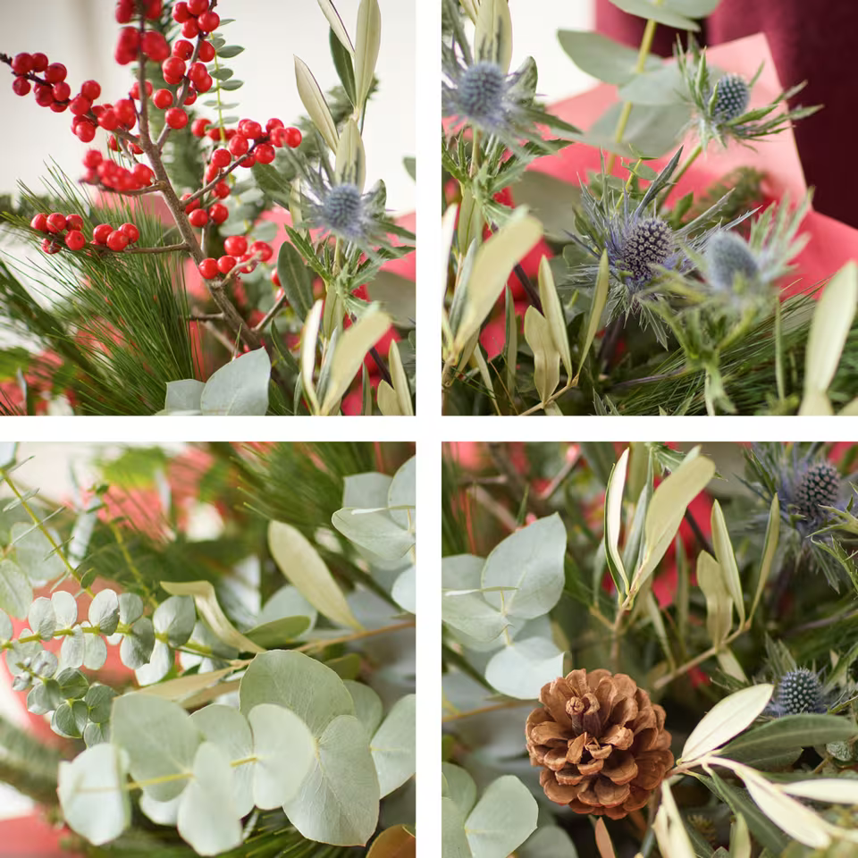 The Festive Forest