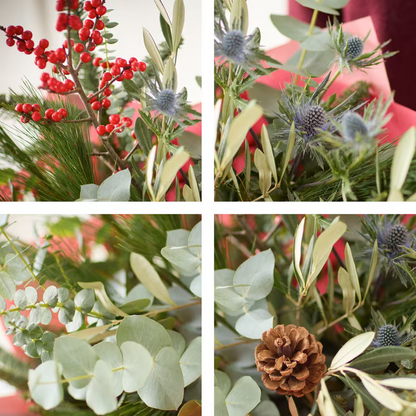 The Festive Forest